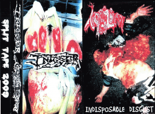 Infester (USA-2) : Vomitoma ‎– Infester